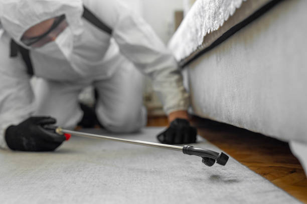 Professional Termite Control technician working in International Falls, MN